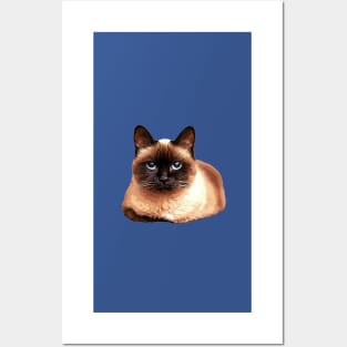 Siamese Cat Posters and Art